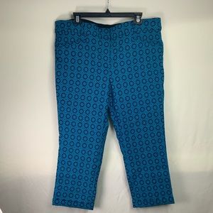 Lane Bryant the Sophie straight fit pants